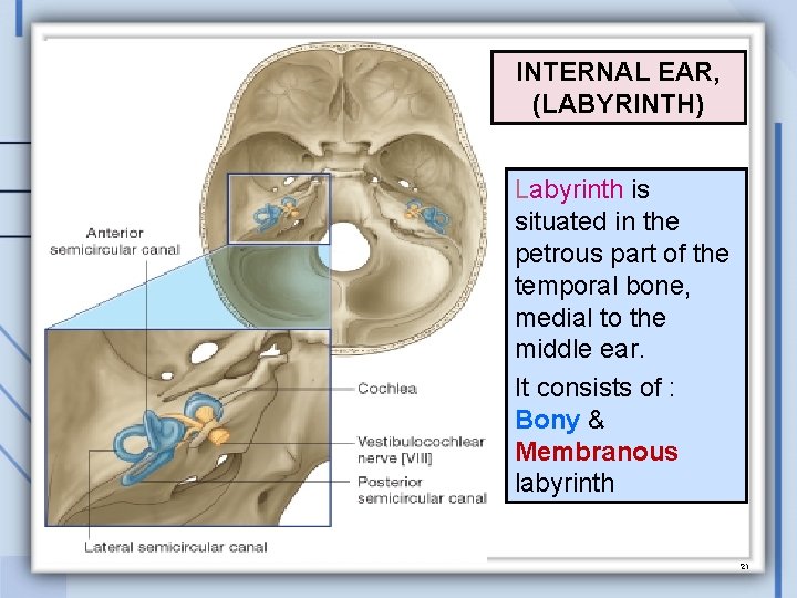 INTERNAL EAR, (LABYRINTH) Labyrinth is situated in the petrous part of the temporal bone,