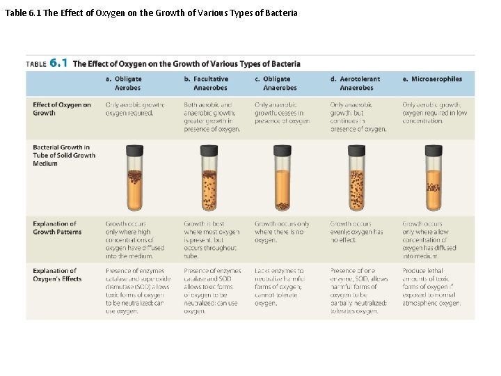 Table 6. 1 The Effect of Oxygen on the Growth of Various Types of