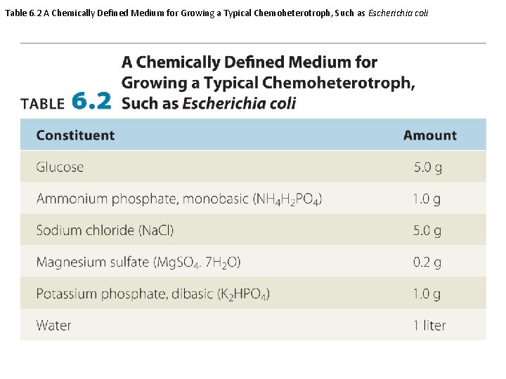 Table 6. 2 A Chemically Defined Medium for Growing a Typical Chemoheterotroph, Such as