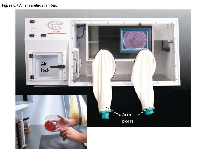 Figure 6. 7 An anaerobic chamber. Air lock Arm ports 
