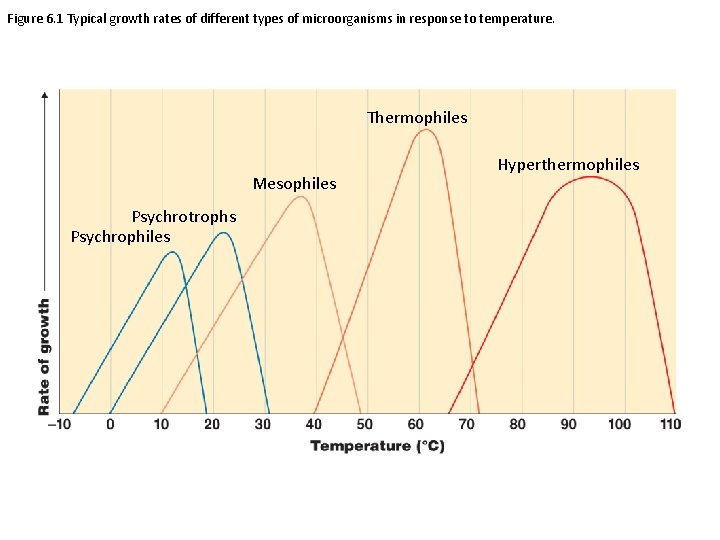 Figure 6. 1 Typical growth rates of different types of microorganisms in response to