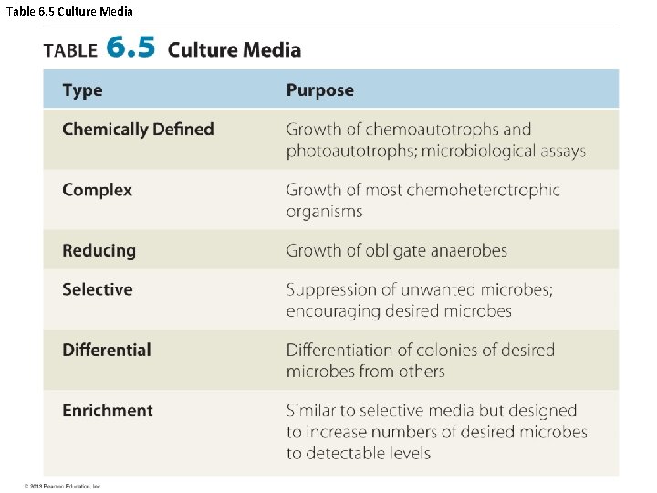 Table 6. 5 Culture Media 