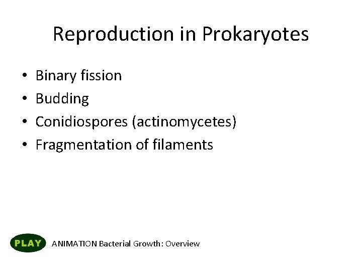 Reproduction in Prokaryotes • • Binary fission Budding Conidiospores (actinomycetes) Fragmentation of filaments ANIMATION