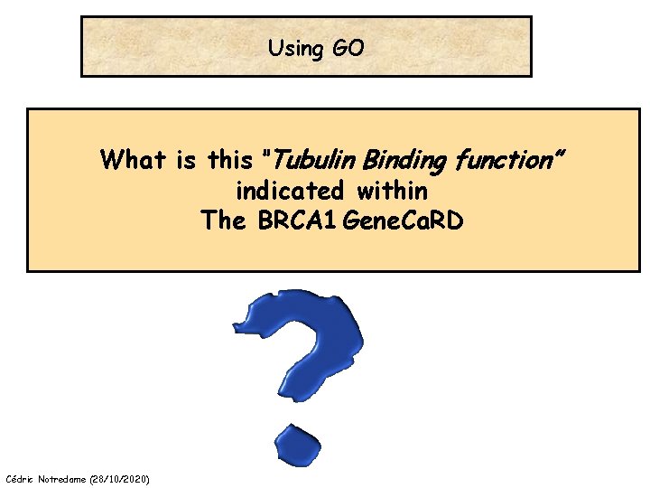 Using GO What is this “Tubulin Binding function” indicated within The BRCA 1 Gene.