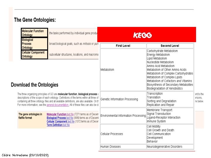 KEGG Cédric Notredame (28/10/2020) 