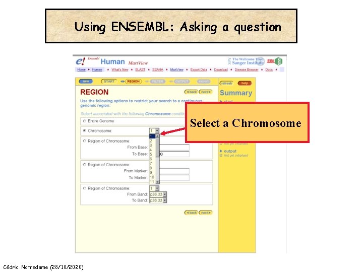 Using ENSEMBL: Asking a question Select a Chromosome Cédric Notredame (28/10/2020) 