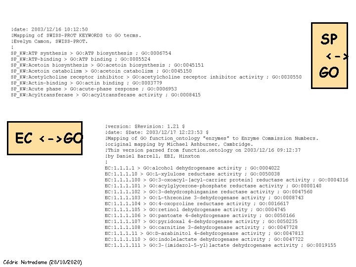 SP <-> GO EC <->GO Cédric Notredame (28/10/2020) 