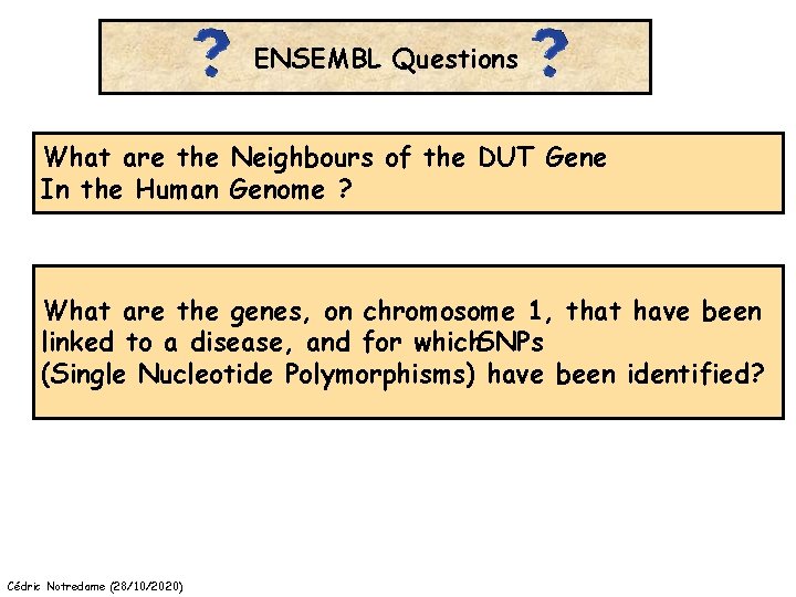 ENSEMBL Questions What are the Neighbours of the DUT Gene In the Human Genome