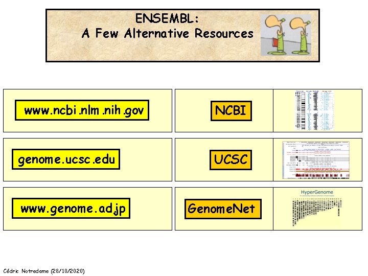 ENSEMBL: A Few Alternative Resources www. ncbi. nlm. nih. gov genome. ucsc. edu www.