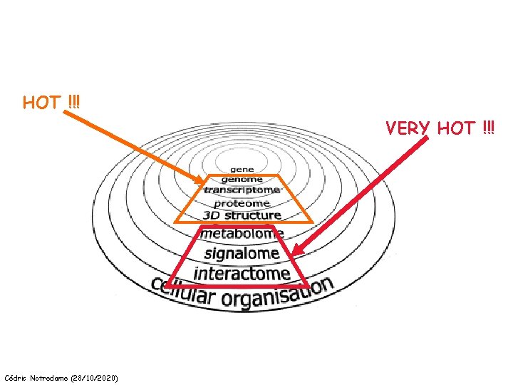 HOT !!! VERY HOT !!! Cédric Notredame (28/10/2020) 