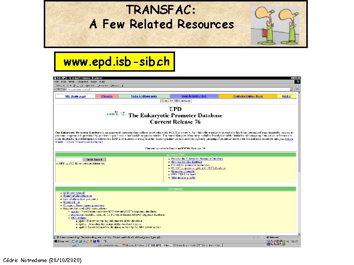 TRANSFAC: A Few Related Resources www. epd. isb-sib. ch Cédric Notredame (28/10/2020) 