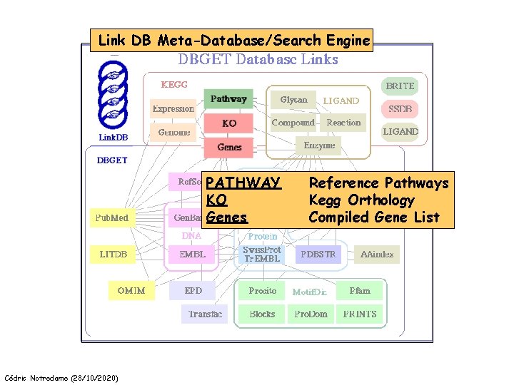Link DB Meta-Database/Search Engine PATHWAY KO Genes Cédric Notredame (28/10/2020) Reference Pathways Kegg Orthology