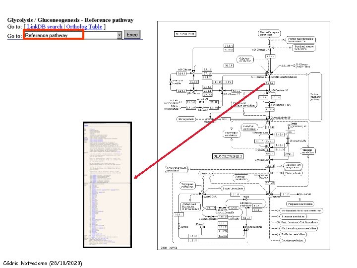 Cédric Notredame (28/10/2020) 