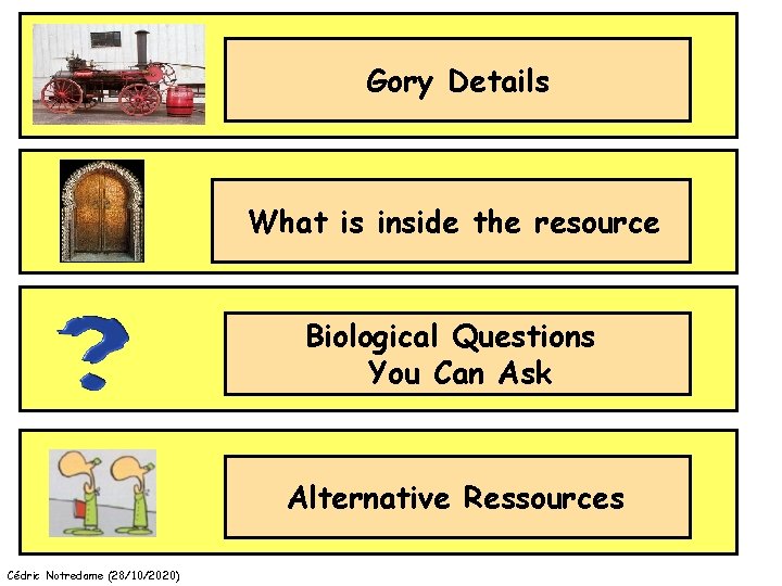 Gory Details What is inside the resource Biological Questions You Can Ask Alternative Ressources