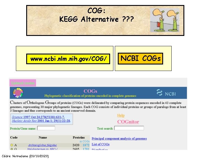 COG: KEGG Alternative ? ? ? www. ncbi. nlm. nih. gov/COG/ Cédric Notredame (28/10/2020)