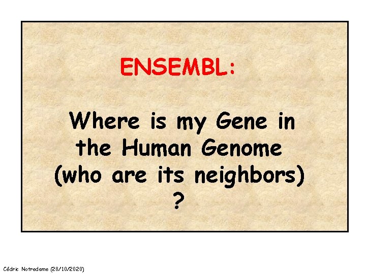 ENSEMBL: Where is my Gene in the Human Genome (who are its neighbors) ?
