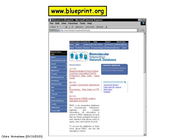 www. blueprint. org Cédric Notredame (28/10/2020) 