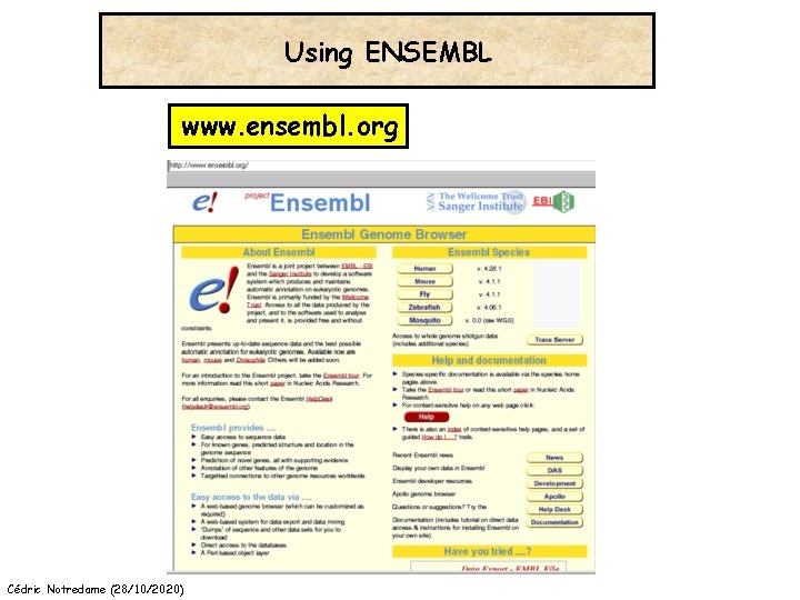 Using ENSEMBL www. ensembl. org Cédric Notredame (28/10/2020) 