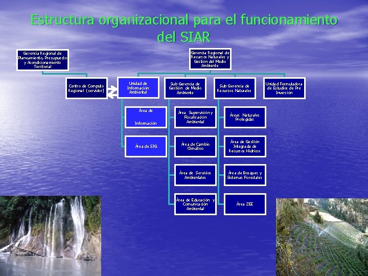 Estructura organizacional para el funcionamiento del SIAR Gerencia Regional de Recursos Naturales y Gestión