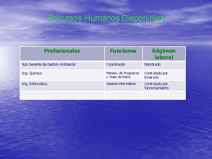 Recursos Humanos Disponibles Profesionales Funciones Régimen laboral Sub Gerente de Gestión Ambiental Coordinador Nombrado