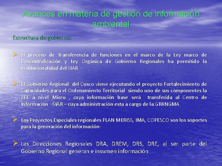 Avances en materia de gestión de información ambiental Estructura de gobierno: Ø El proceso