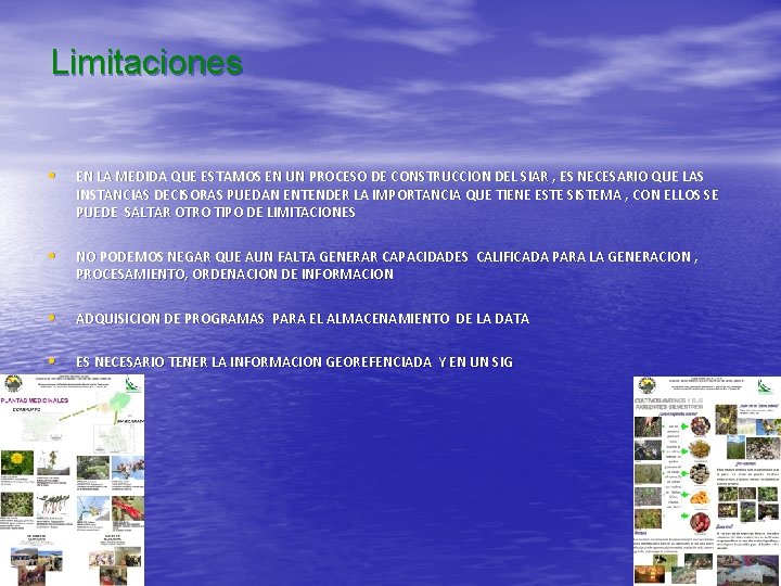 Limitaciones • EN LA MEDIDA QUE ESTAMOS EN UN PROCESO DE CONSTRUCCION DEL SIAR