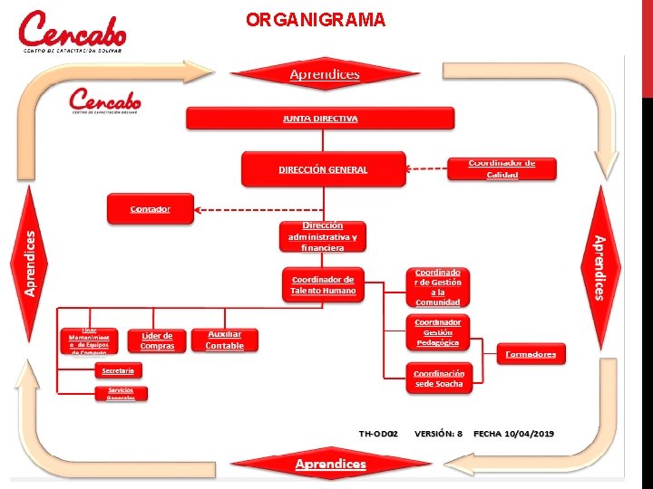 ORGANIGRAMA 