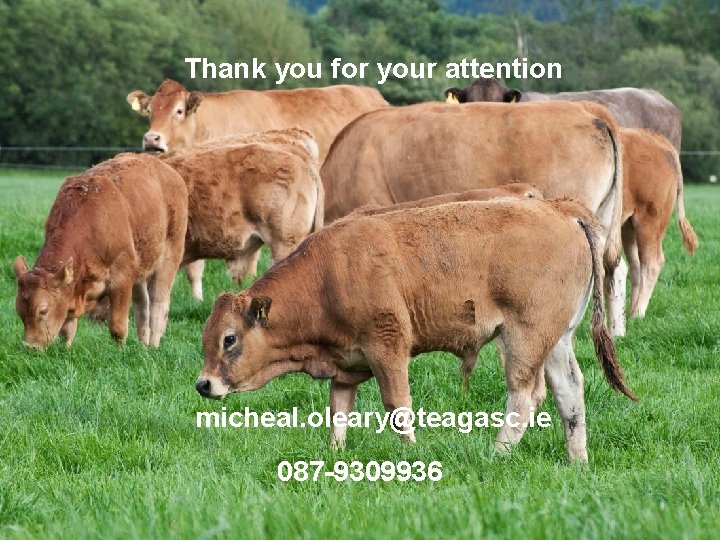 Thank you for your attention micheal. oleary@teagasc. ie 087 -9309936 