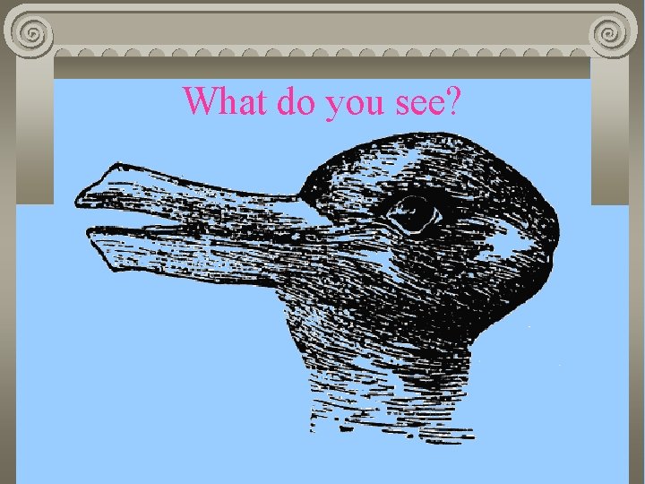 What do you see? 