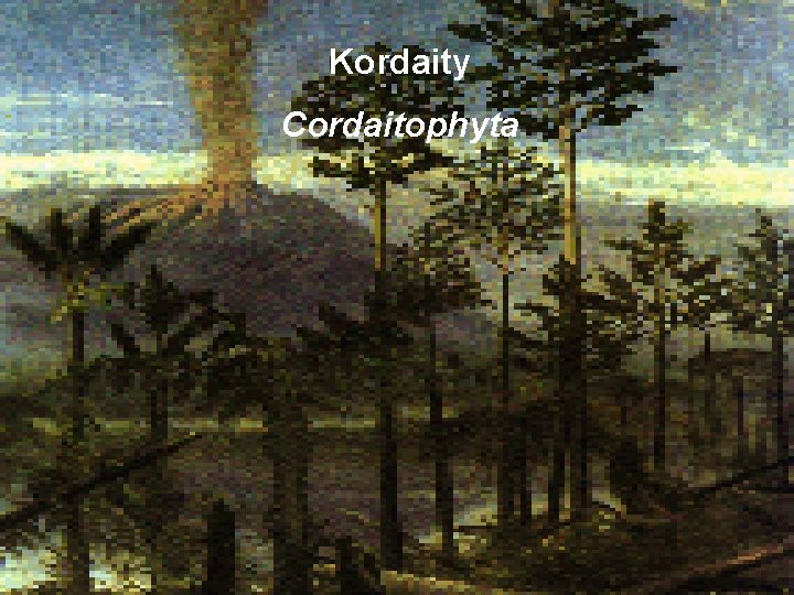 Kordaity Cordaitophyta 