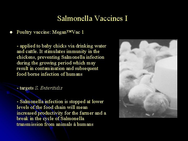 Salmonella Vaccines I l Poultry vaccine: Megan™Vac 1 - applied to baby chicks via