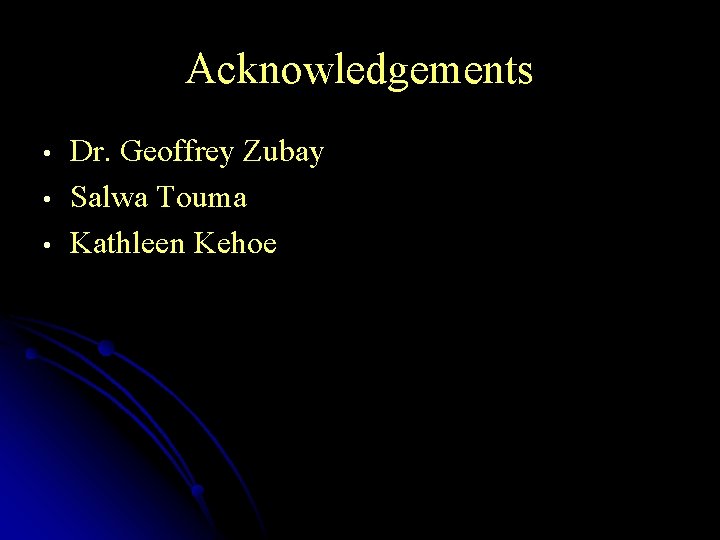 Acknowledgements • • • Dr. Geoffrey Zubay Salwa Touma Kathleen Kehoe 