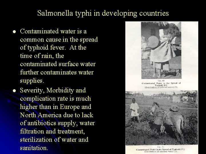 Salmonella typhi in developing countries l l Contaminated water is a common cause in