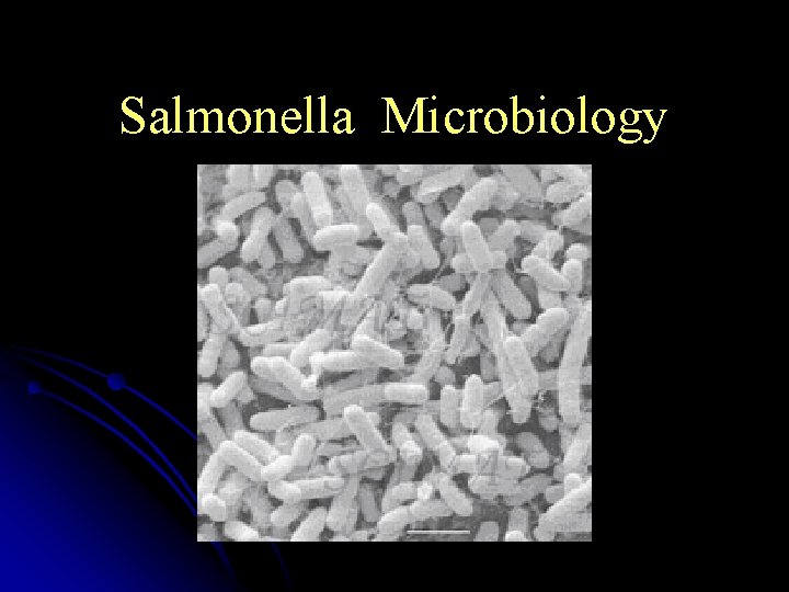 Salmonella Microbiology 