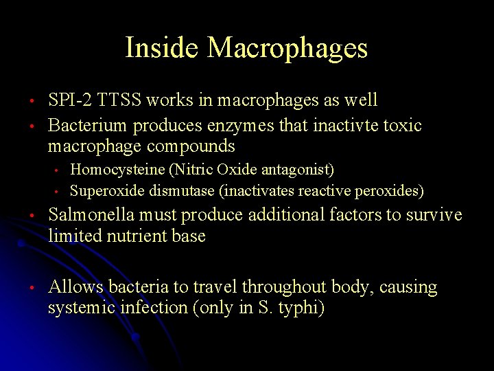 Inside Macrophages • • SPI-2 TTSS works in macrophages as well Bacterium produces enzymes