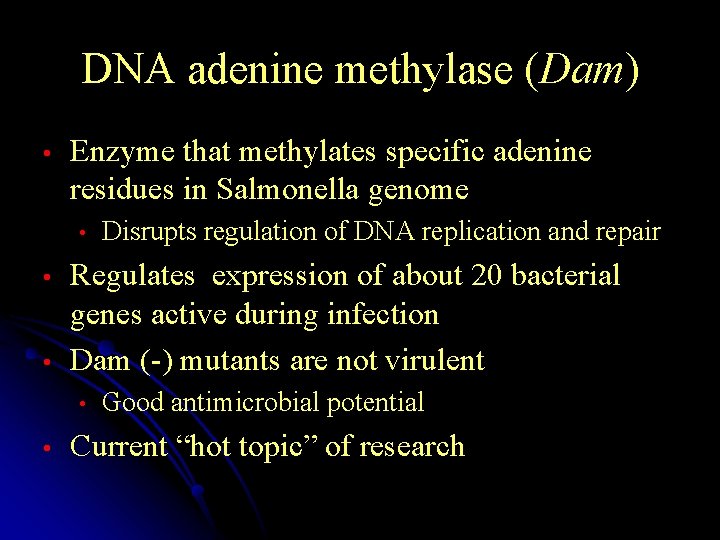 DNA adenine methylase (Dam) • Enzyme that methylates specific adenine residues in Salmonella genome