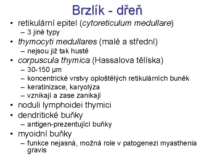 Brzlík - dřeň • retikulární epitel (cytoreticulum medullare) – 3 jiné typy • thymocyti