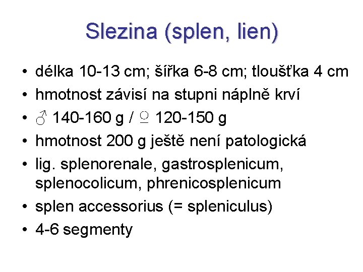 Slezina (splen, lien) • • • délka 10 -13 cm; šířka 6 -8 cm;