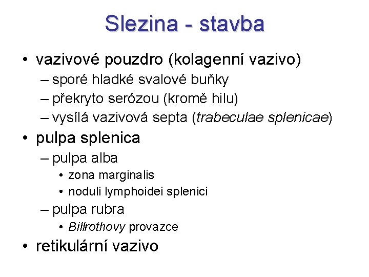 Slezina - stavba • vazivové pouzdro (kolagenní vazivo) – sporé hladké svalové buňky –
