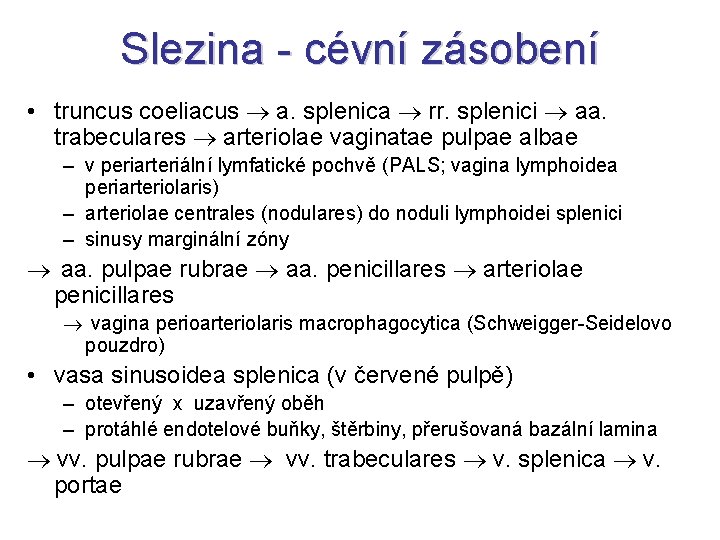Slezina - cévní zásobení • truncus coeliacus a. splenica rr. splenici aa. trabeculares arteriolae