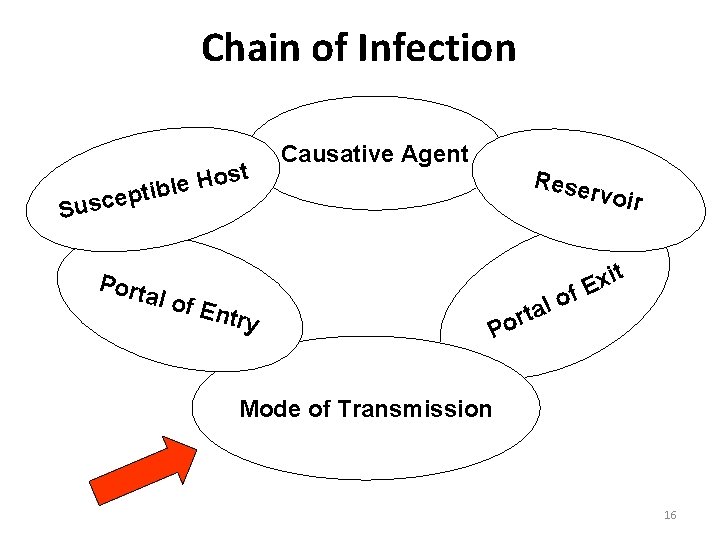 Chain of Infection t s o H le b i t p e c