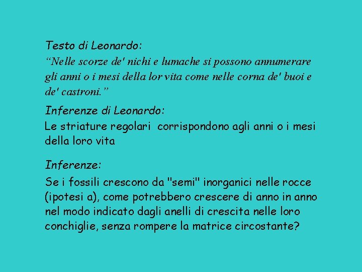 Testo di Leonardo: “Nelle scorze de' nichi e lumache si possono annumerare gli anni