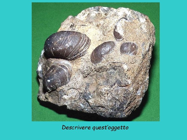 Descrivere quest’oggetto 