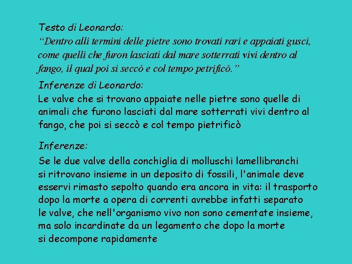 Testo di Leonardo: “Dentro alli termini delle pietre sono trovati rari e appaiati gusci,