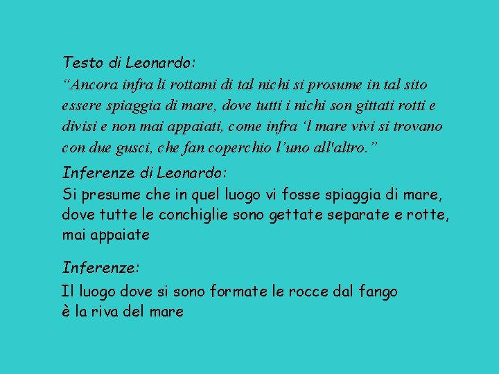 Testo di Leonardo: “Ancora infra li rottami di tal nichi si prosume in tal