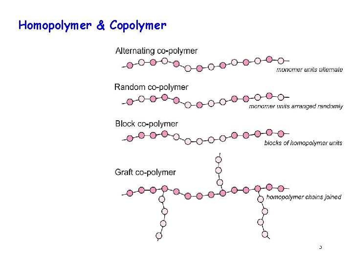 Homopolymer & Copolymer 3 