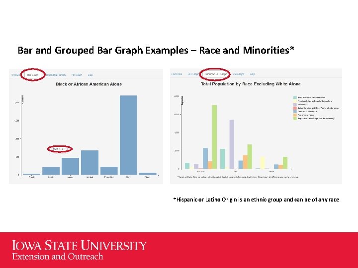 Bar and Grouped Bar Graph Examples – Race and Minorities* *Hispanic or Latino Origin