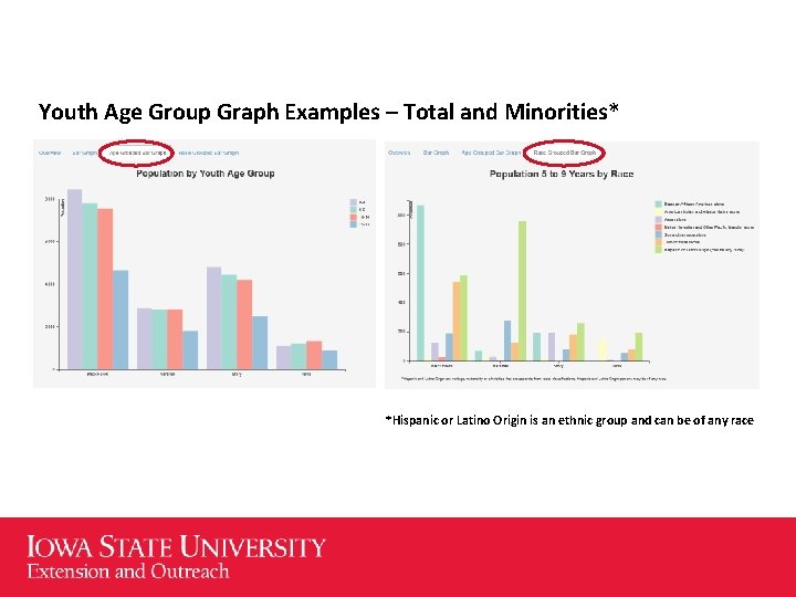 Youth Age Group Graph Examples – Total and Minorities* *Hispanic or Latino Origin is