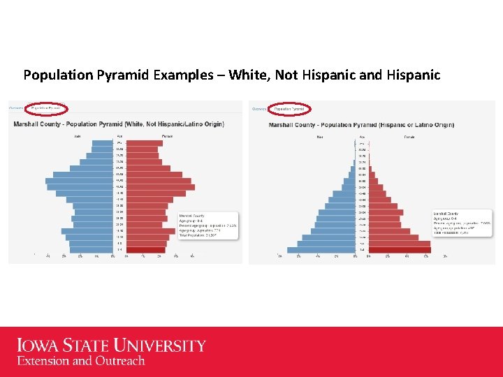 Population Pyramid Examples – White, Not Hispanic and Hispanic 