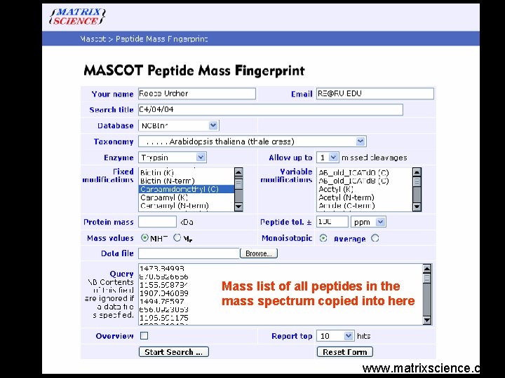 Mass list of all peptides in the mass spectrum copied into here www. matrixscience.